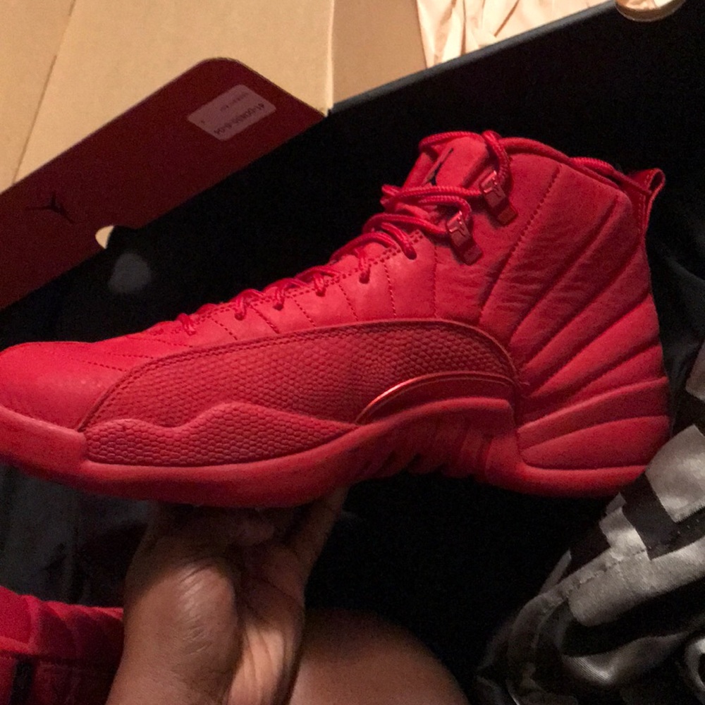 Jordan retro 12